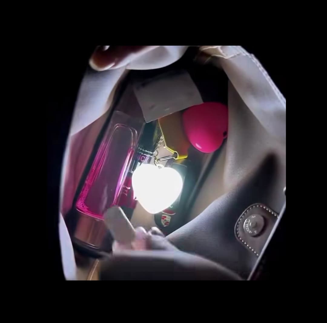 Purse Light for Handbag.